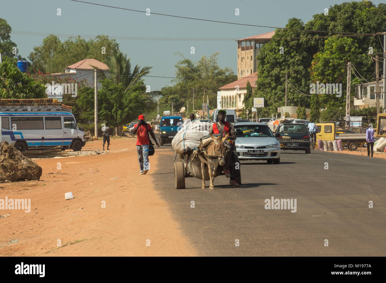 Ein afrikanischer Mann reitet ein Esel und Warenkorb auf einer Straße in Senegambia, Gambia, Südafrika Stockfoto