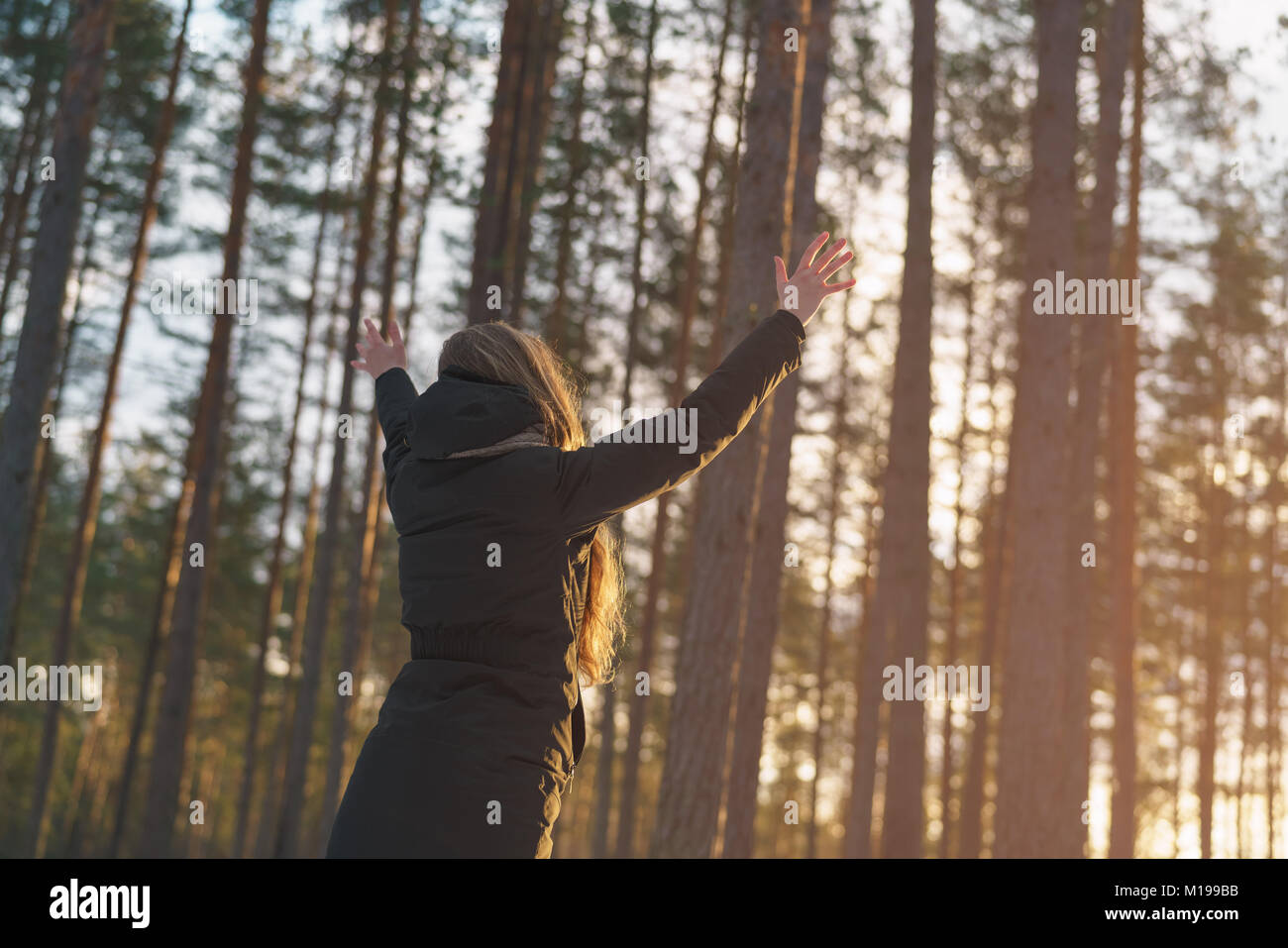 Teen Mädchen hob Hände von hinten im Kiefer Winterwald im Sonnenuntergang Stockfoto