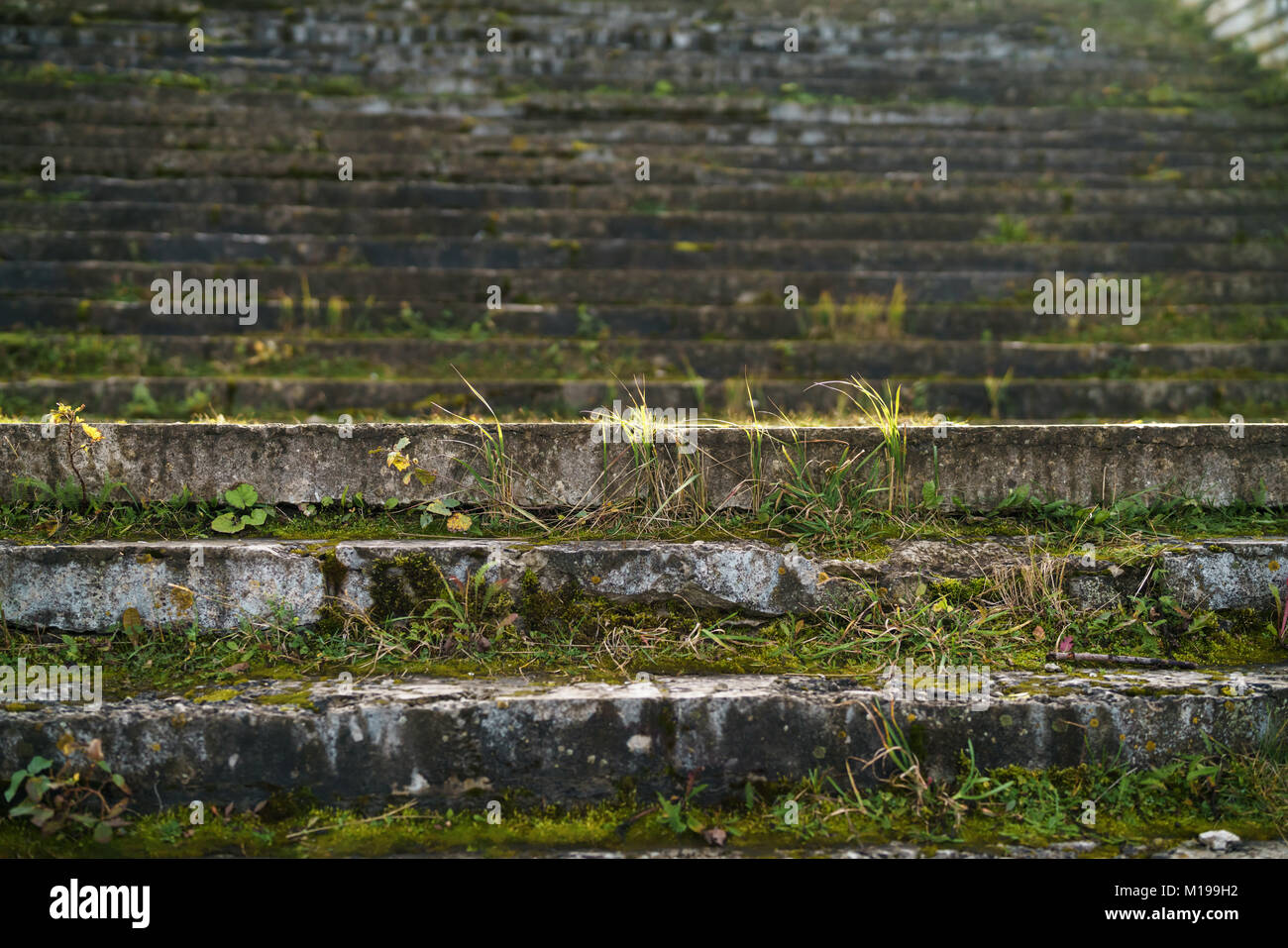 Alte Steintreppe mit Moos und Gras am sonnigen Morgen Stockfoto