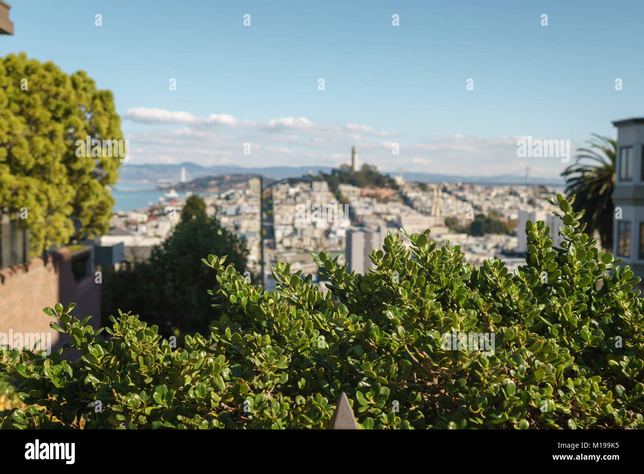 SAN FRANCISCO, USA - ca. November 2017: Blick auf San Francisco von der berühmten Lombard Street im November Tag Stockfoto