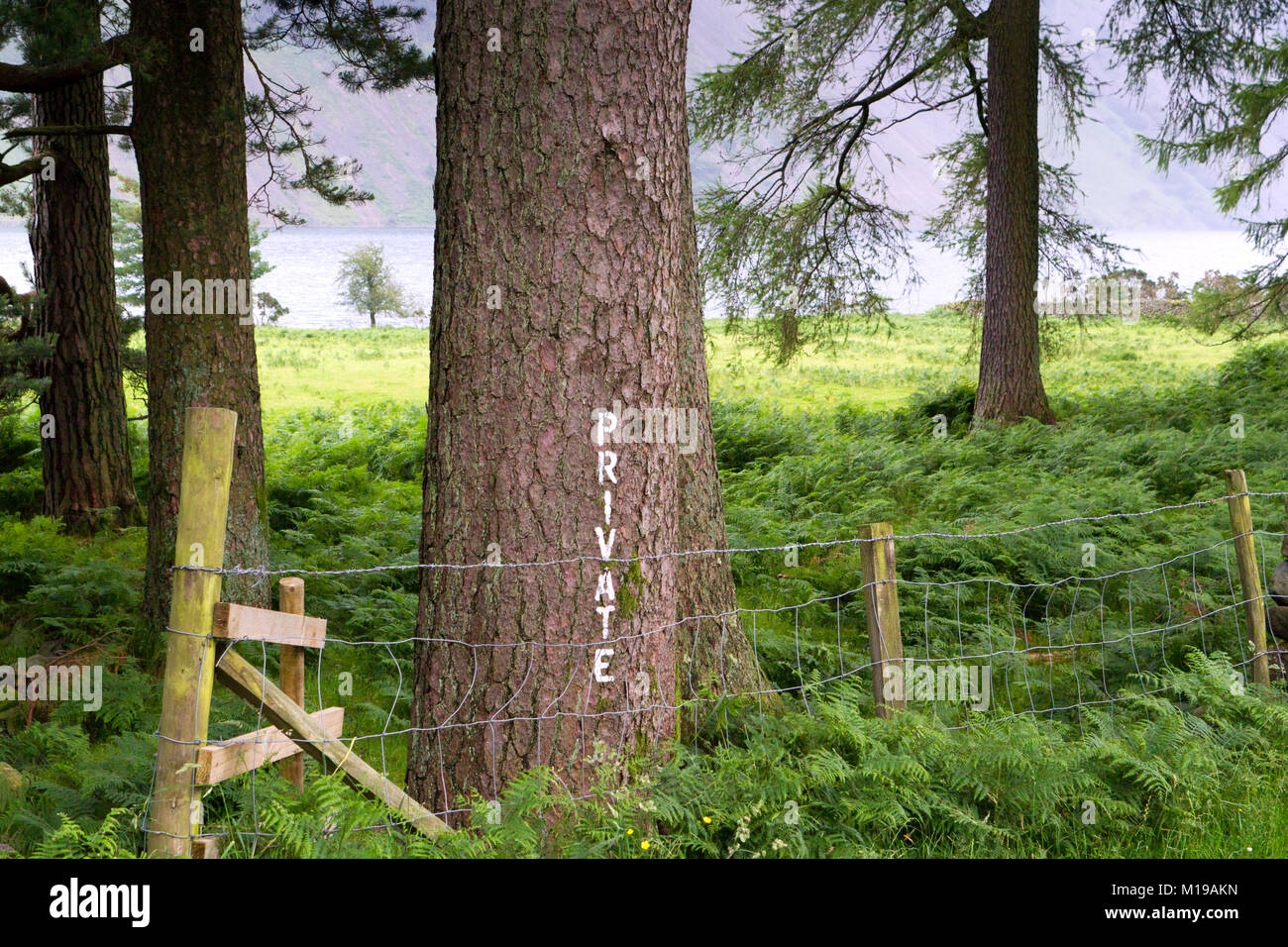 Eine handbemalte 'Private' Schild an einem Baum in der Nähe der malerischen Wastwater im Lake District, Cumbria, Großbritannien Stockfoto