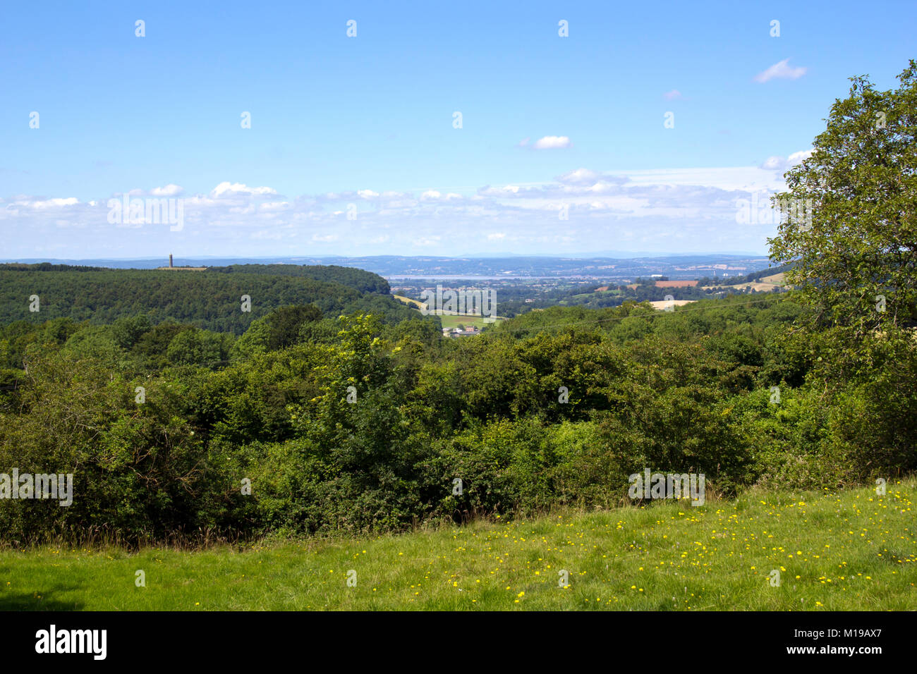 Blick Richtung Tynedale Denkmal am Rande der Cotswold Hills Böschung in der Nähe von Wotton Under Edge, Gloucesteshire, UK. Stockfoto