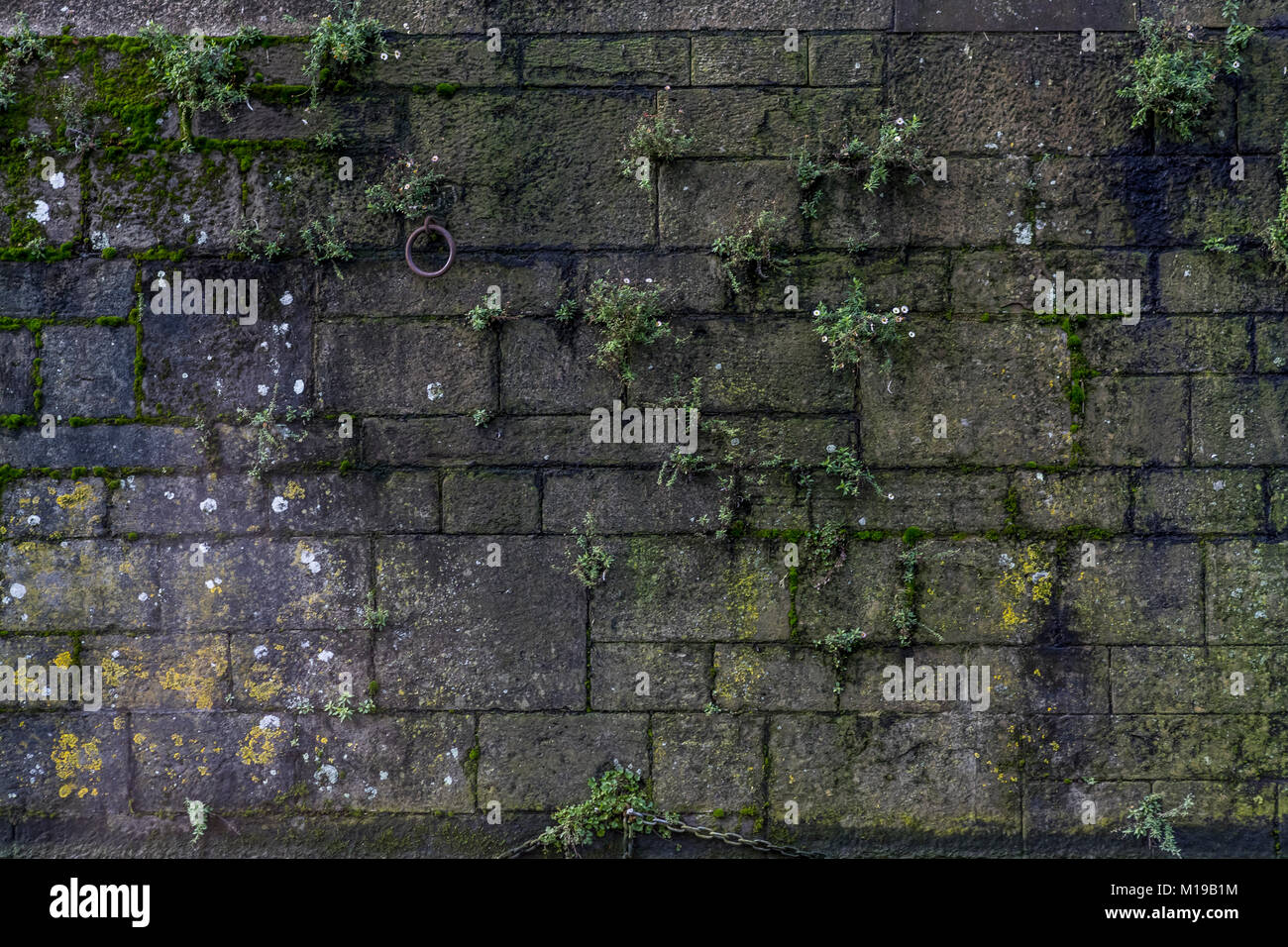 Detail der dock Wand an der Waterfront, Bristol, UK. Stockfoto