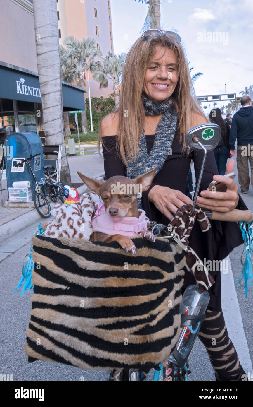 Eine attraktive Irish American Frau mittleren Alters auf ihr Fahrrad mit Ihrem Haustier Chihuahua. In einer Art Festival in Delray Beach, Florida Stockfoto