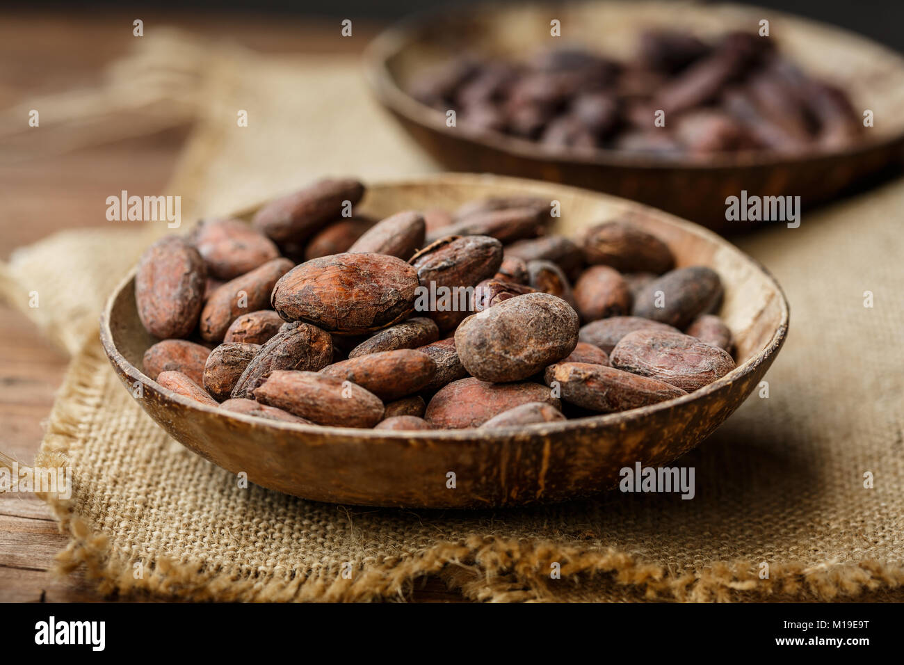 Cacao Bohnen in eine Schüssel geben. Stockfoto