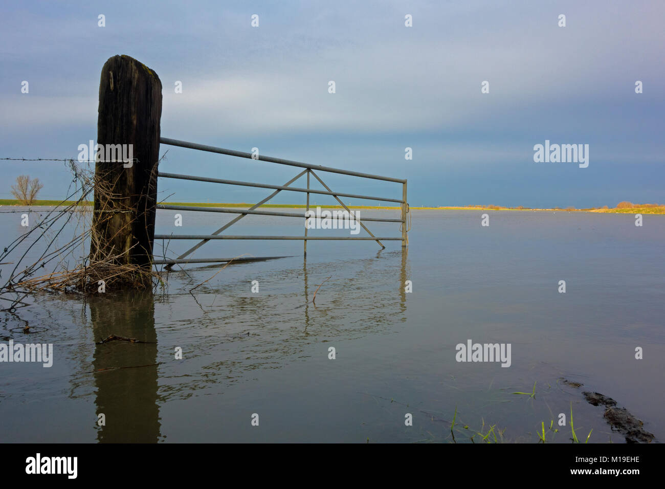 Überflutetes Tor und Blick hinunter Ouse Wäscht in Sutton Gault, Cambridgeshire, England Stockfoto