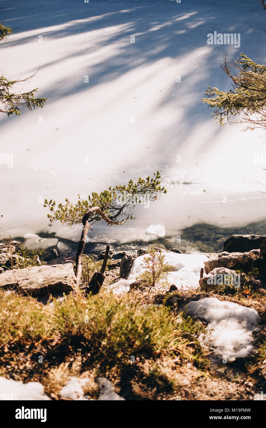 Detail der Ufer am Eibsee im Winter, Grainau, Oberbayern, Deutschland. Stockfoto