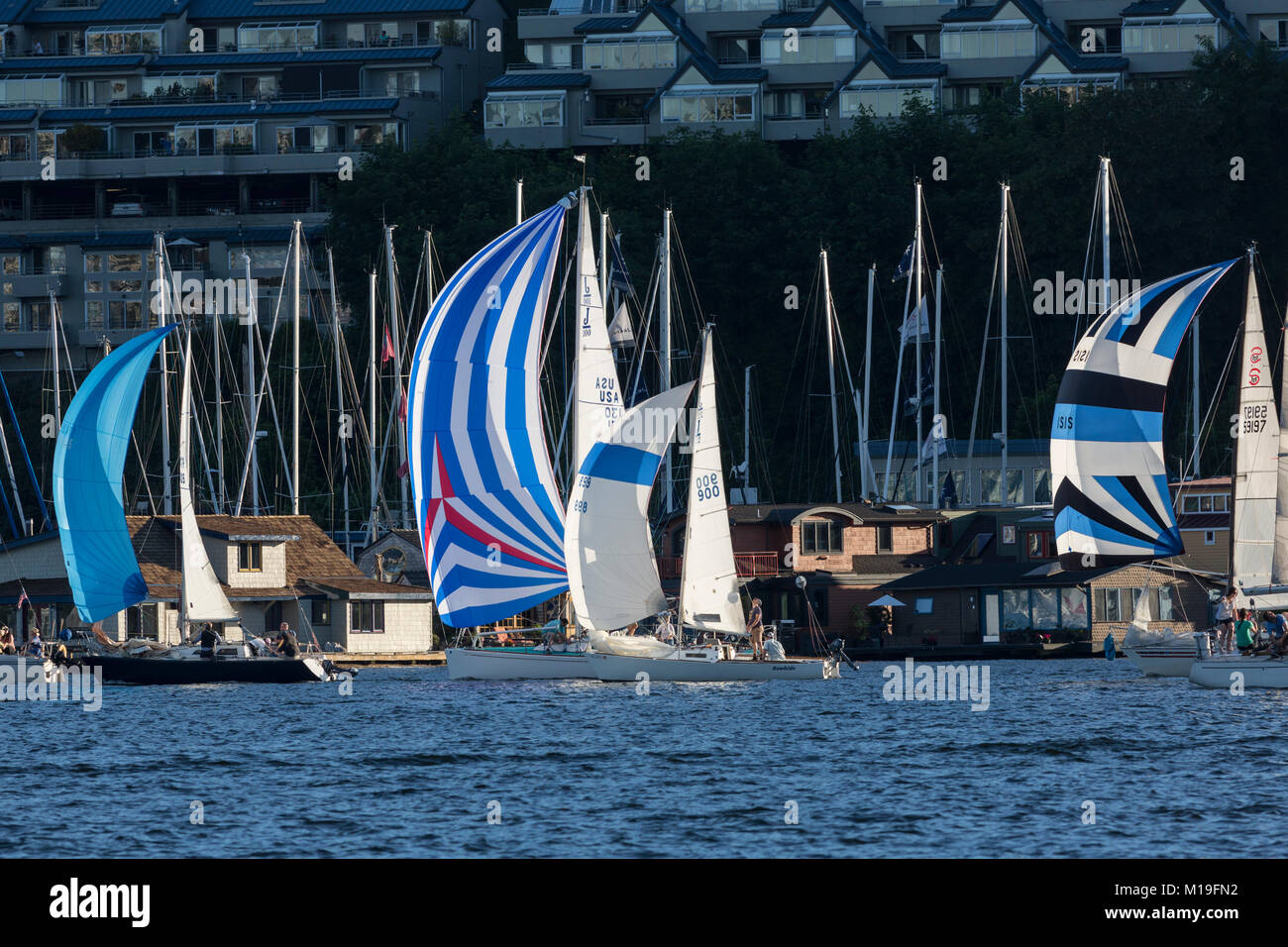 Ente Dodge Segelboot Rennen auf den Union See, Seattle, Washington, USA Stockfoto