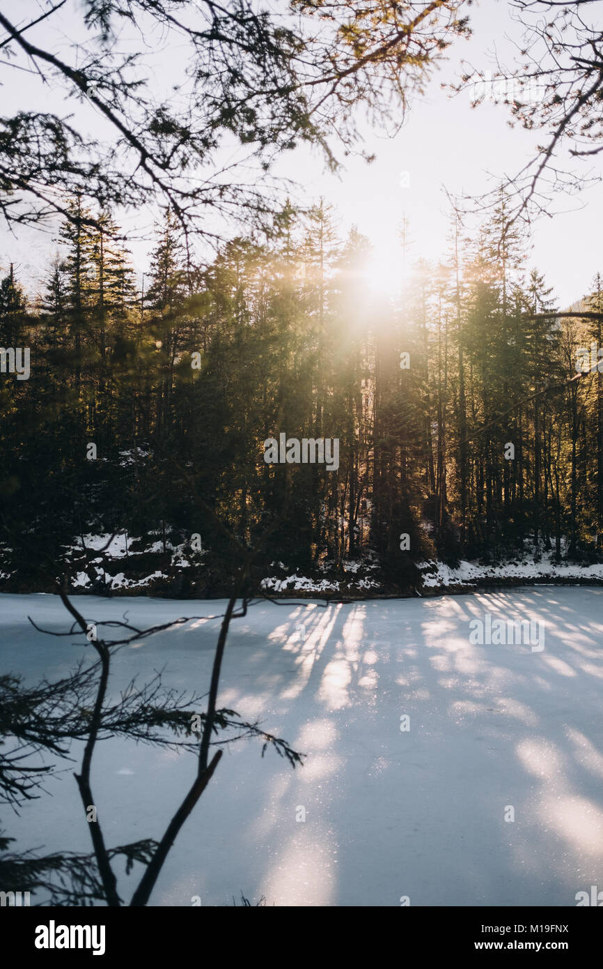 Wald Szene an einem sonnigen Tag im Winter am See Eibsee Grainau, Oberbayern, Deutschland. Stockfoto