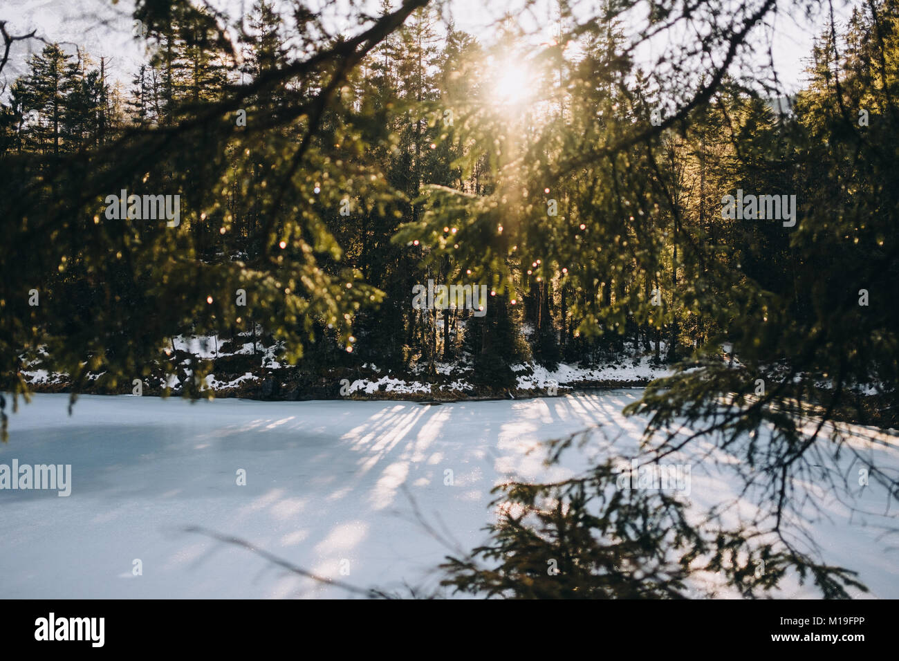 Wald Szene an einem sonnigen Tag im Winter am See Eibsee Grainau, Oberbayern, Deutschland. Stockfoto