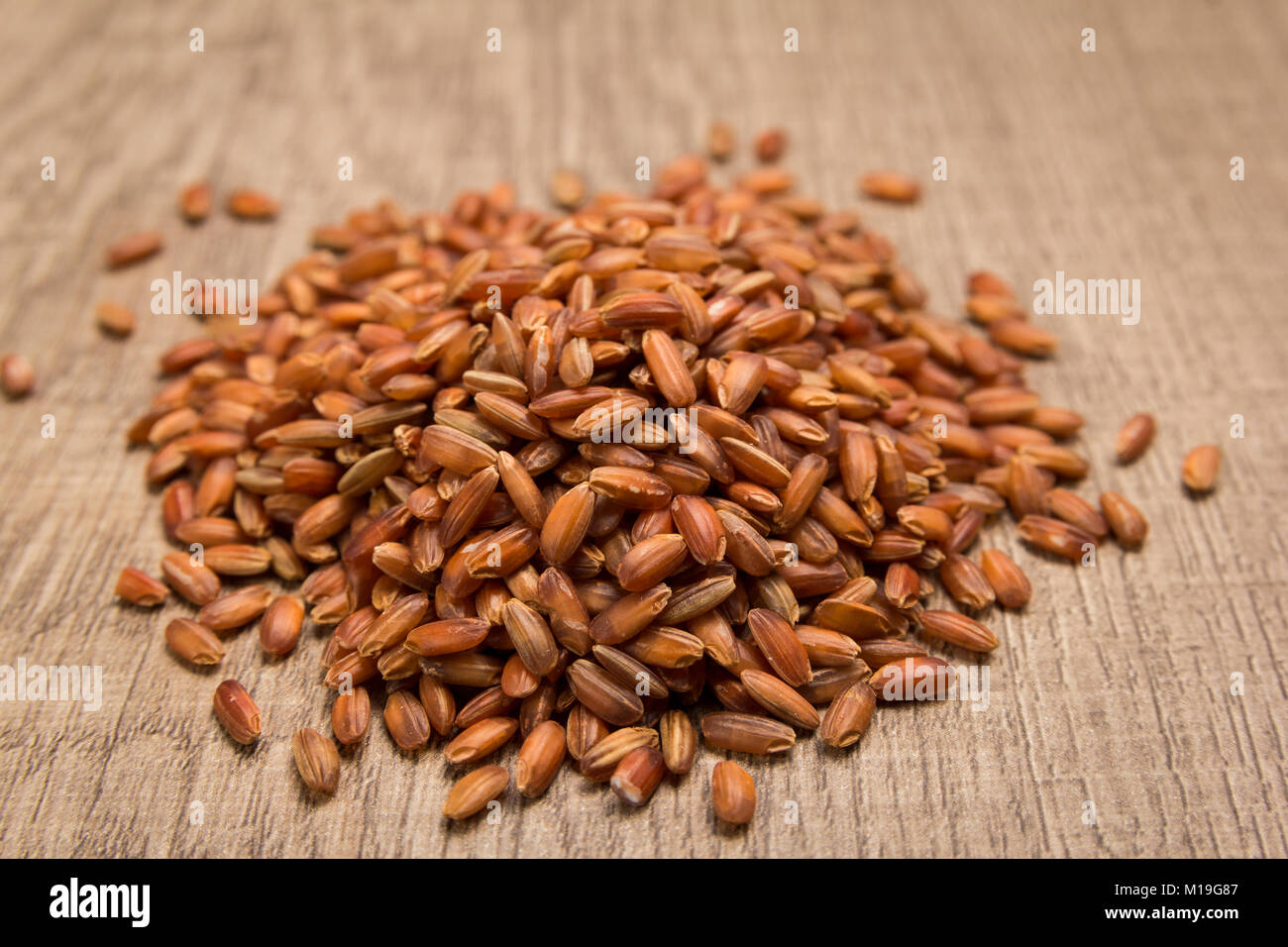 Oryza sativa ist wissenschaftlicher Name der bhutanischen Roter Reis Saatgut. Auch bekannt als "Arroz Vemelho (Portugiesisch). Stapel der Körner auf dem Holztisch. Selektive fo Stockfoto