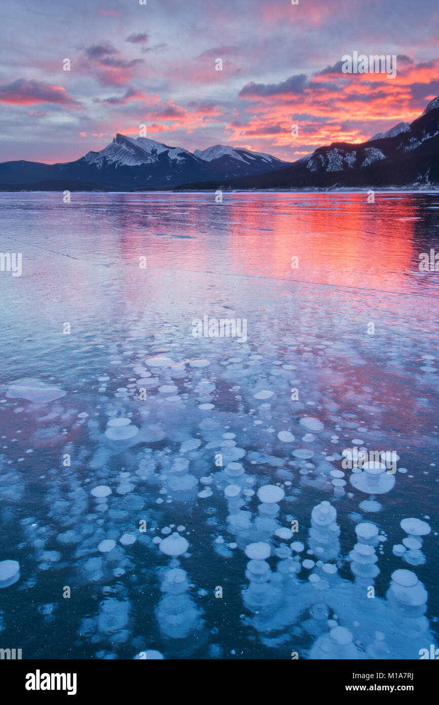 Gefrorenem Methan blasen, Winter, Abraham Lake, kanadische Rockies in Alberta, Kanada Stockfoto