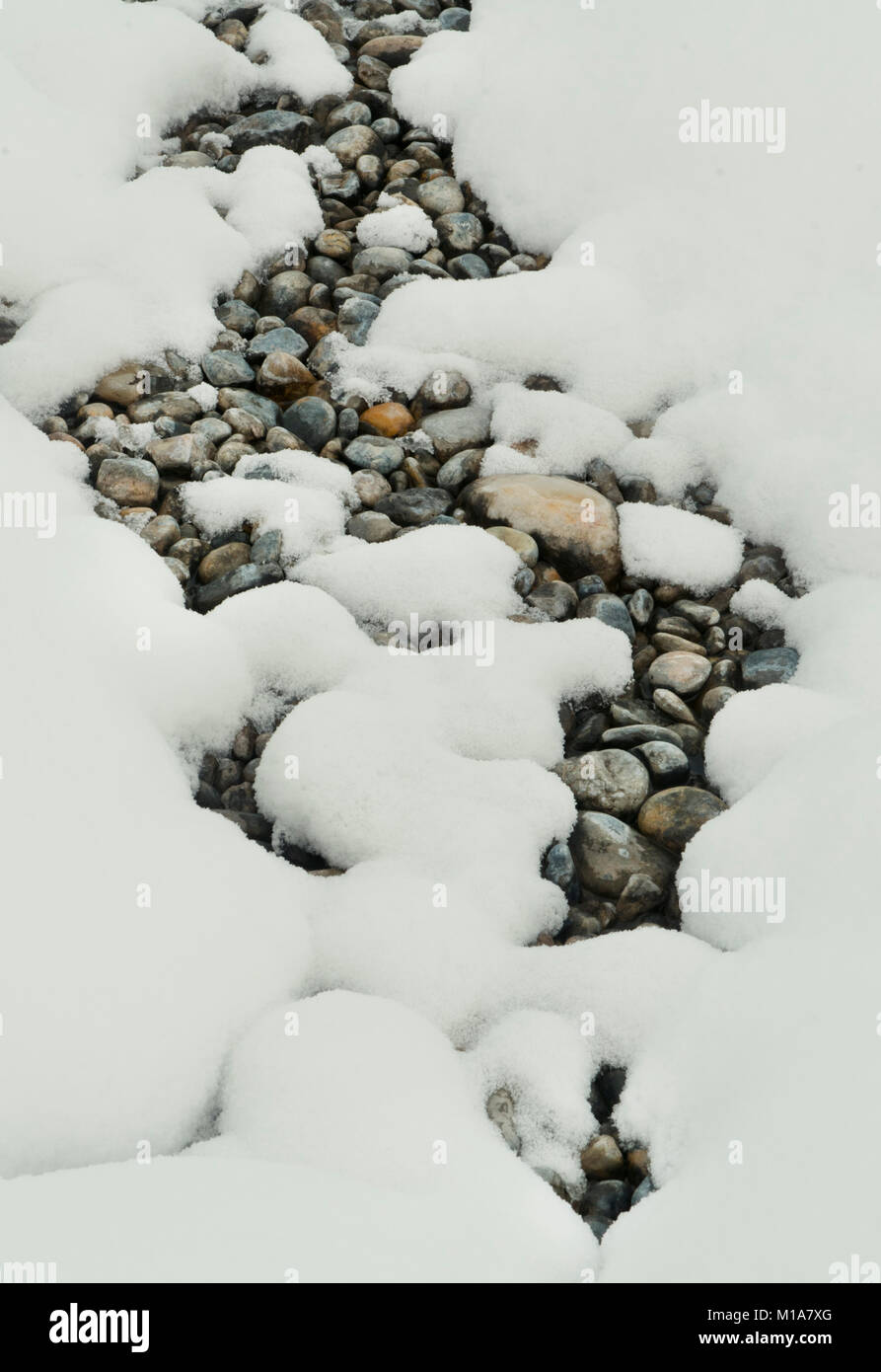 Steine und Schnee, Winter Muster, Banff National Park, der Kanadischen Rockies, Alberta, Kanada Stockfoto