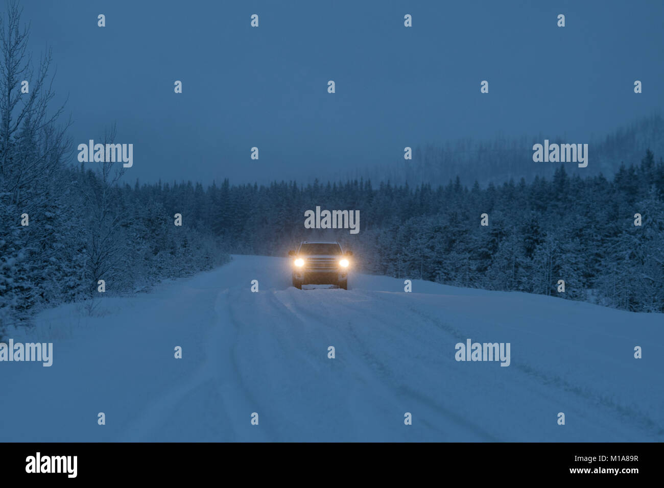 Winter fahren bei Dämmerung, Highway 11, Saskatchewan Crossing, kanadische Rockies in Alberta, Kanada Stockfoto