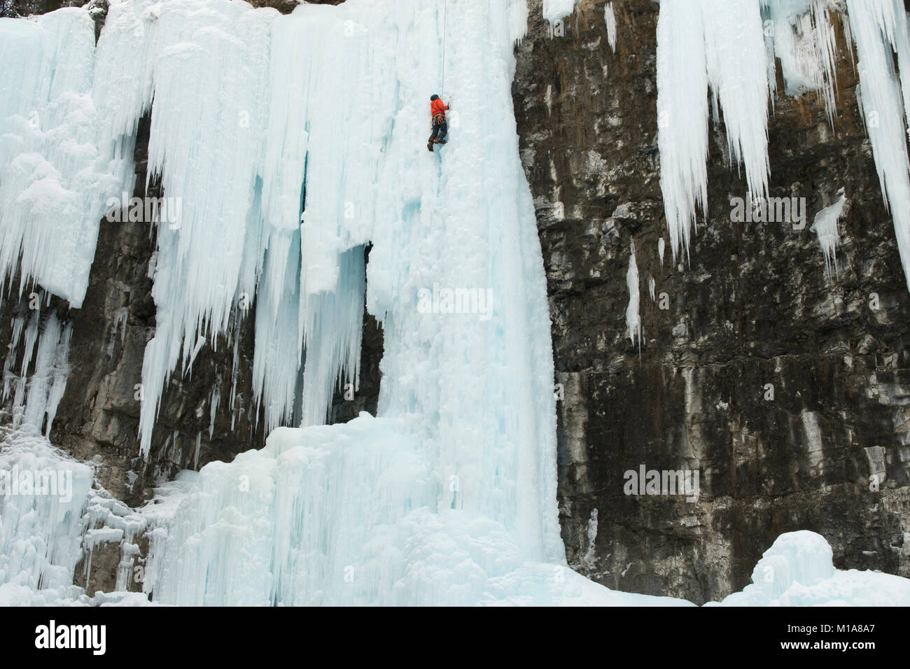 Ice climber Aufsteigend gefrorenen Wasserfall, Johnston Canyon, Banff National Park, der Kanadischen Rockies, Alberta, Kanada, winter Stockfoto