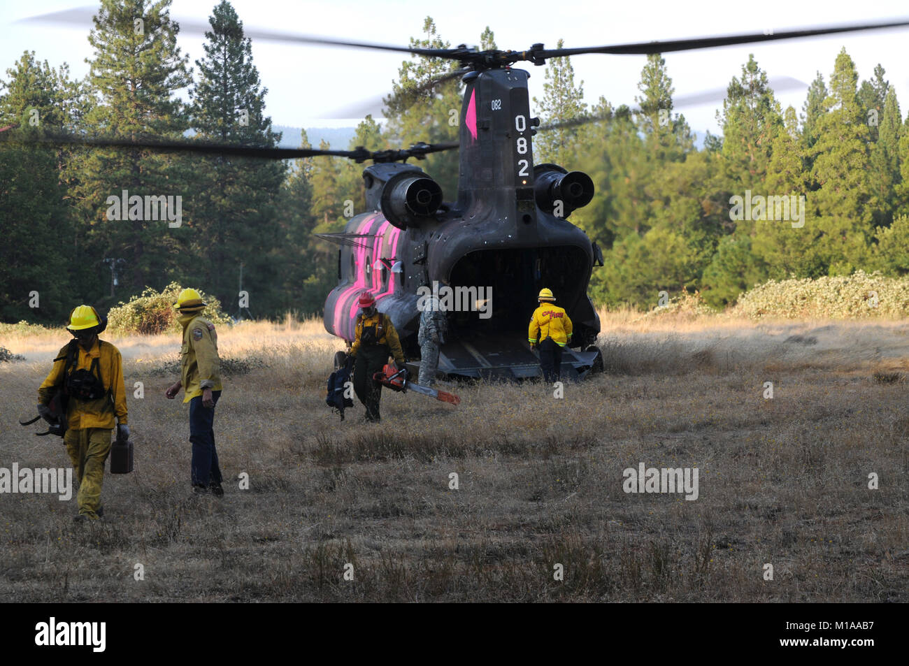 Beauftragte Personal, das die gefährlichen Bäume verlassen ein Kalifornien Army National Guard CH-47 Chinook Hubschrauber von B Co 1-126 th Allgemeine Unterstützung Aviation Battalion am helibase im Whitmore, Kalifornien 12.08.8. Der kalifornischen Nationalgarde unterstützt die Kalifornien Abteilung der Forstwirtschaft und des Brandschutzes während der eiler Brand im Lassen National Forest durch die Bereitstellung von Hubschraubern und Besatzungen, die in der Lage ist, den Transport von Personal und Spritzwasser auf die wildfire. (U.S. Army National Guard Foto/SPC. Brianne Roudebush/Freigegeben) Stockfoto