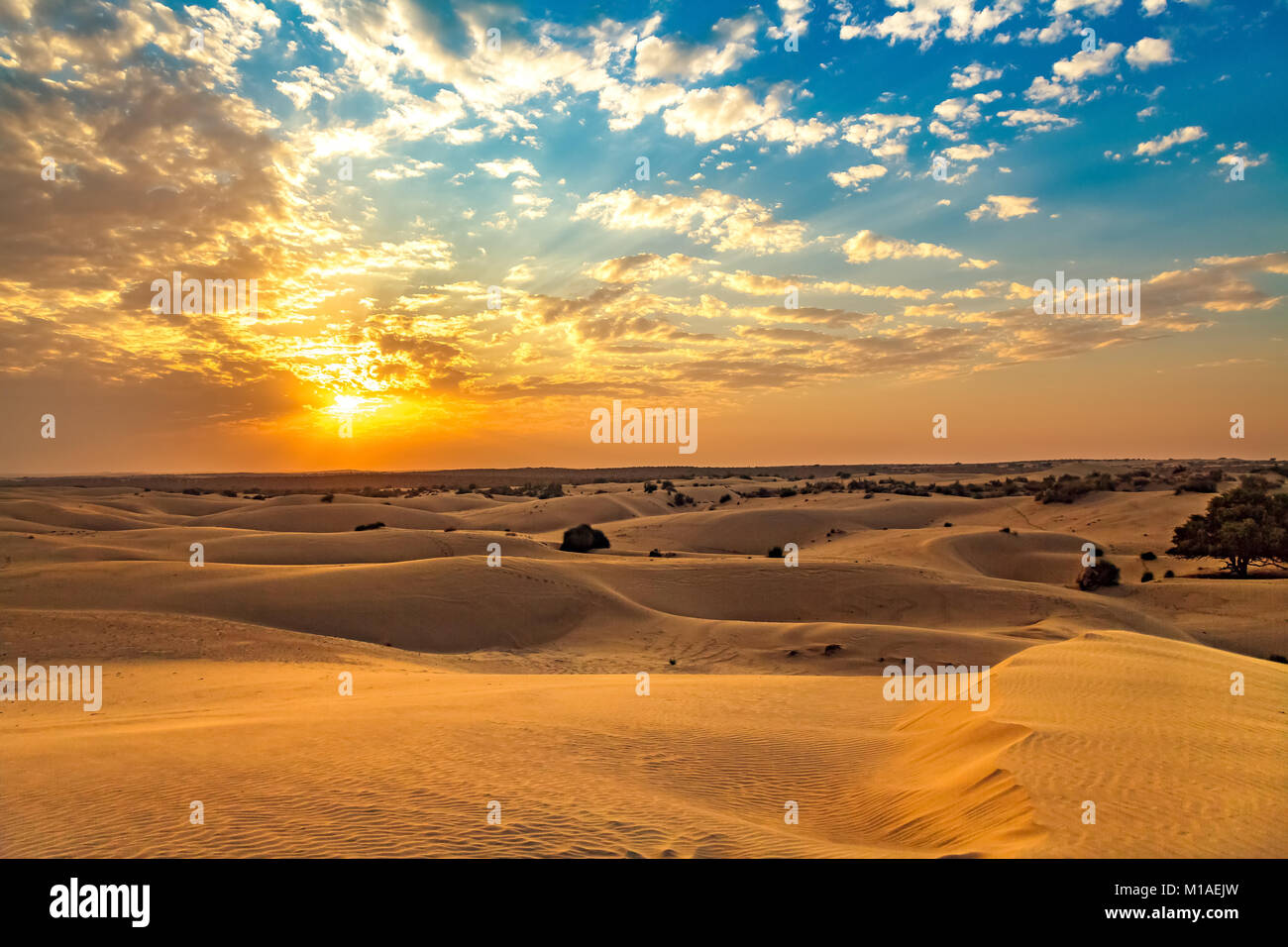 Thar Wüste Sonnenuntergang bei Jaisalmer, Rajasthan Indien mit Moody Himmel. Stockfoto