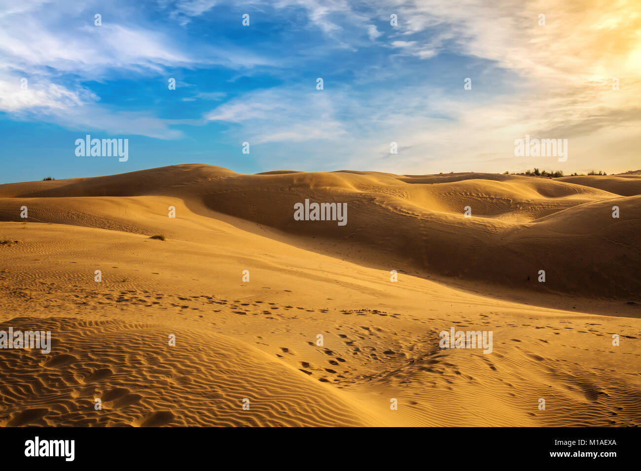 Thar Wuste Sonnenuntergang Mit Sand Dunen Bei Jaisalmer Rajasthan Indien Stockfotografie Alamy