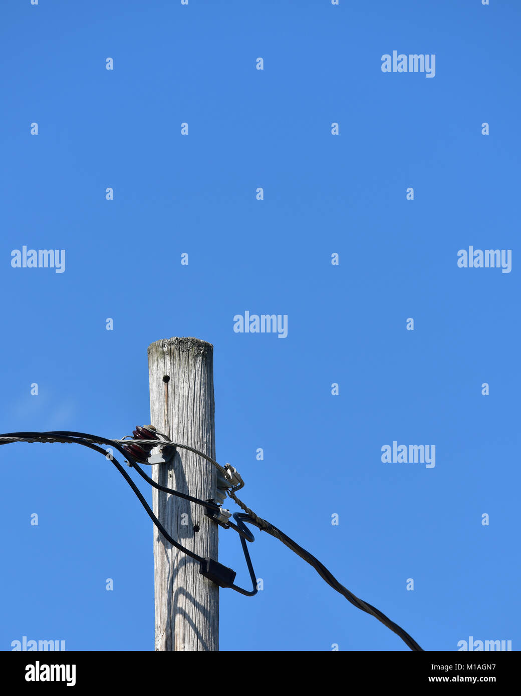 Einzelnes Dienstprogramm Pol mit Kabel gegen ein klarer blauer Himmel mit kopieren. Stockfoto