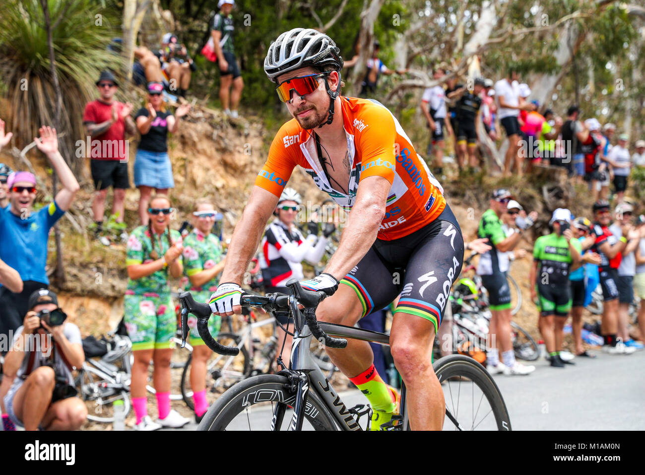 ADELAIDE, AUSTRALIEN - 20. Januar: Peter Sagan Nr. 11 (SVK) von BORA - Hansgrohe (Deutschland) loudy durch die riesige Menge jubelte, als er kletterte Alte Willunga Stockfoto