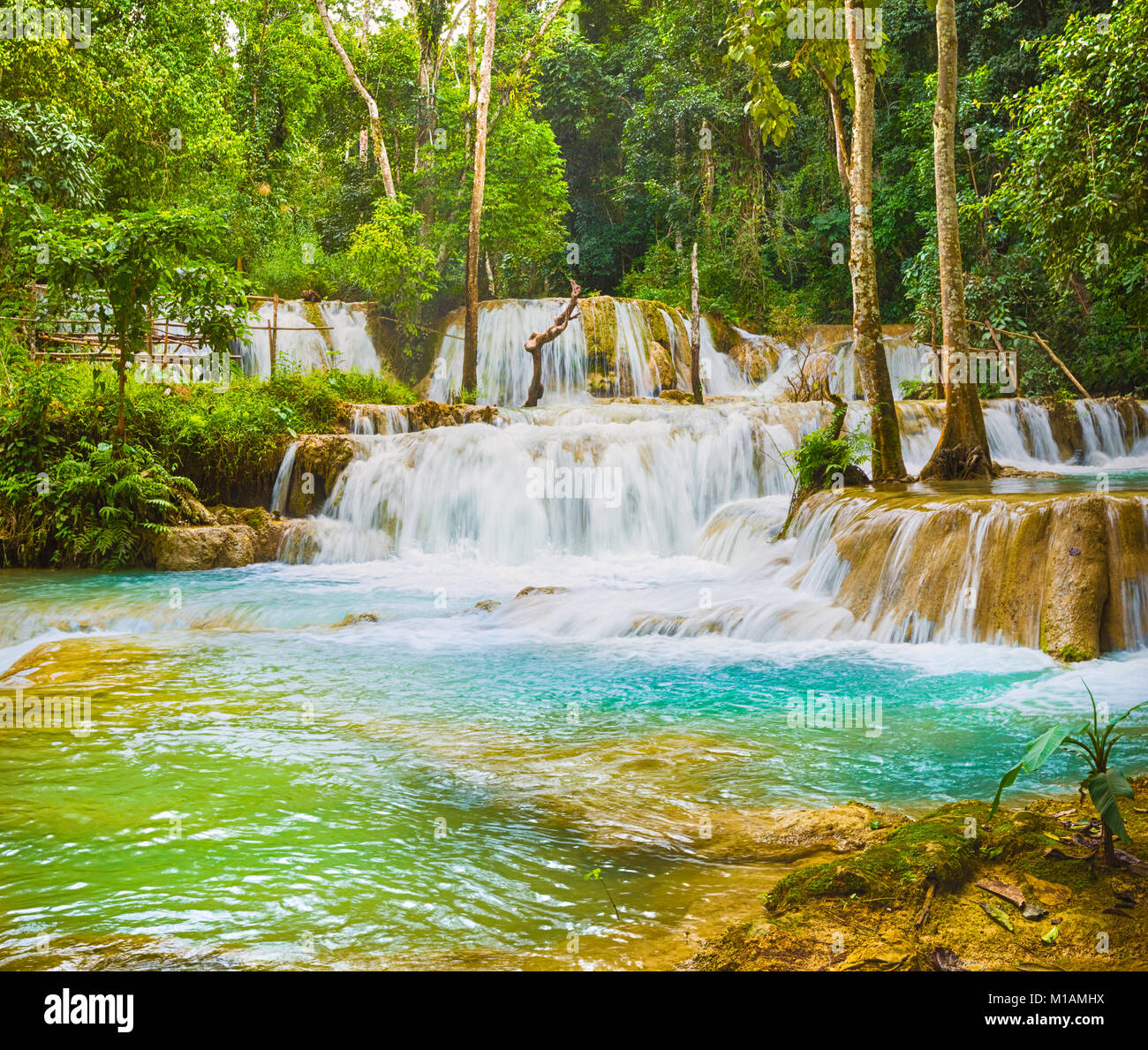 Tat Sae Wasserfällen. Schöne Landschaft. Luang Prabang. Laos. Stockfoto