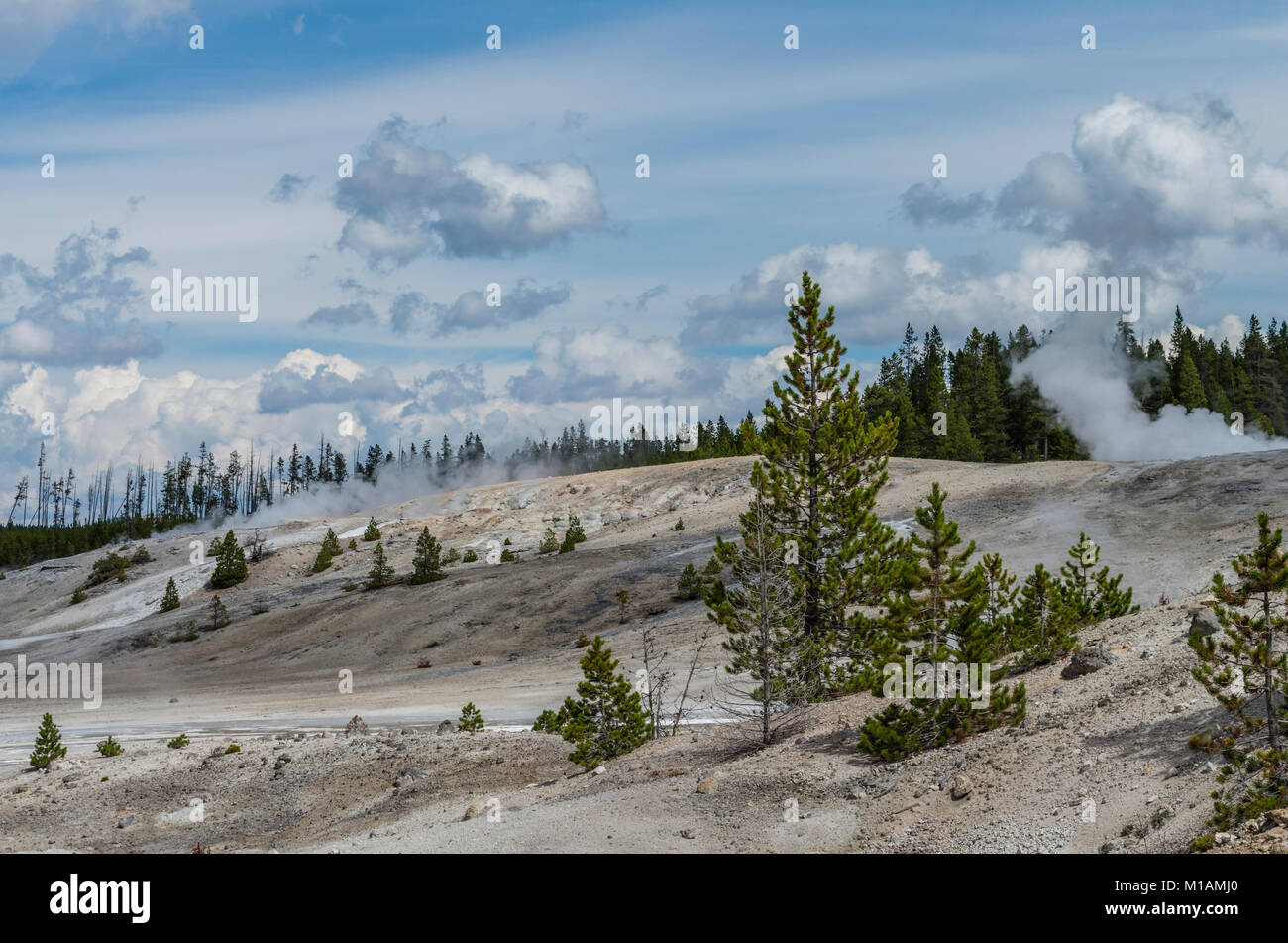 Mehrere kleine Öffnungen mit Dampf in der Norris Geyser Basin. Yellowstone National Park, Wyoming, USA Stockfoto