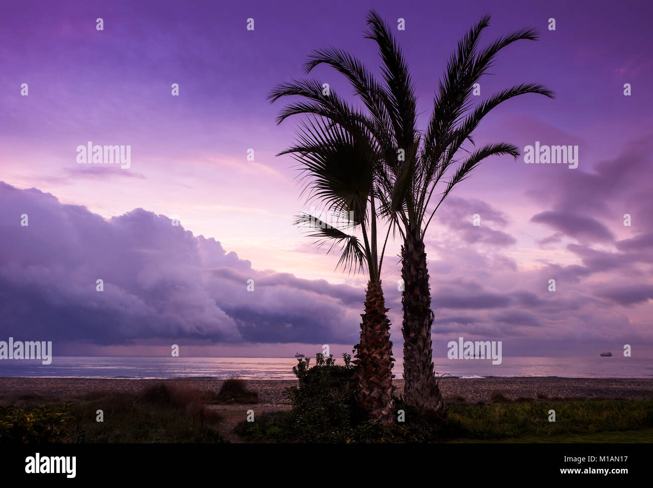 Sonnenaufgang am Strand mit Palmen und Schiffe Silhouette. Ultra violette Töne Stockfoto