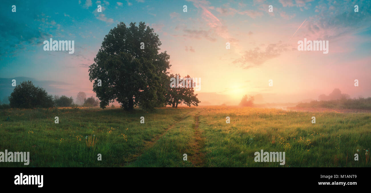 Feder Panoramablick auf die Landschaft. Himmel mit flauschige Wolken über dem grünen Bereich. Stockfoto