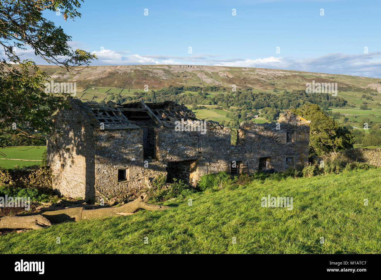 Ruine eines alten Bauernhaus aus Stein in Swaledale, Yorkshire Dales, England. Stockfoto
