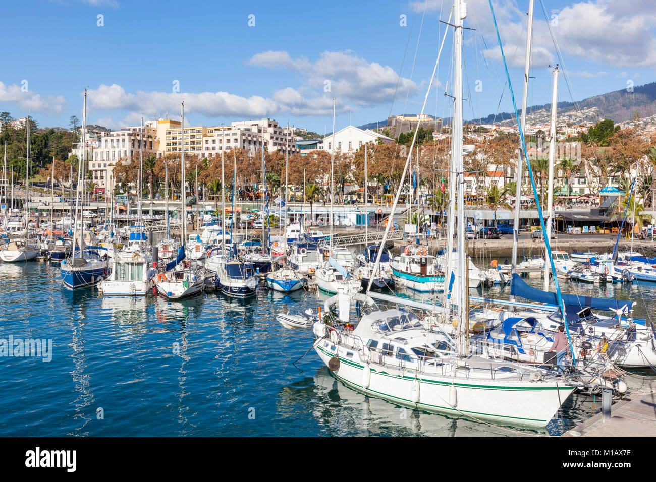 MADEIRA PORTUGAL MADEIRA Marina mit vielen Yachten und Boote im Yachthafen von Funchal am Hafen von Funchal Madeira Portugal EU Europa Stockfoto