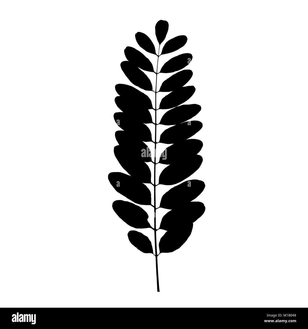 Schwarzer baum Blatt Silhouette. Vector Illustration Stockfoto