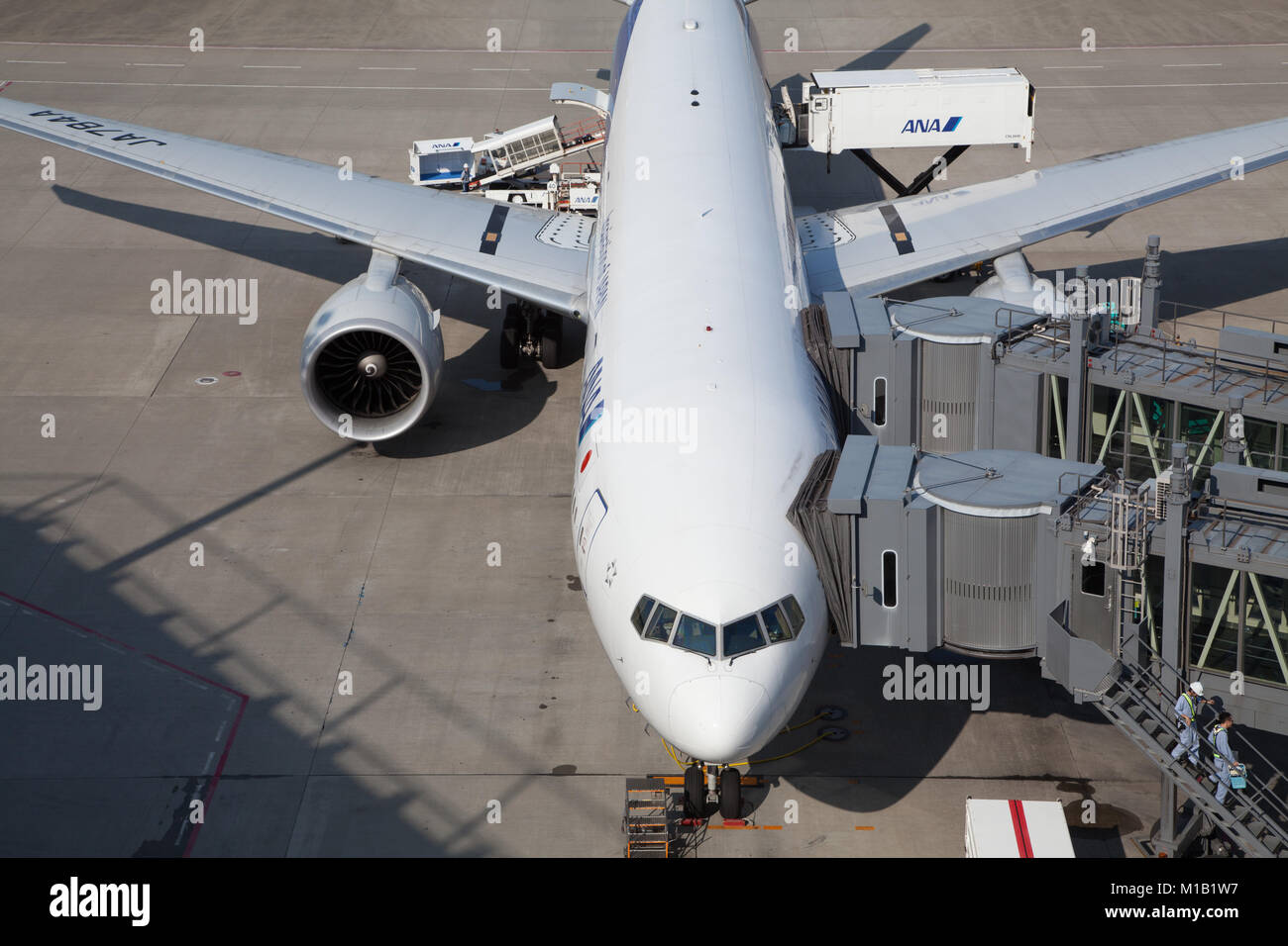 Eine ANA Boeing 777 ist für den Abflug am Haneda International Airport Terminal, Tokio, Japan, vorbereitet Stockfoto