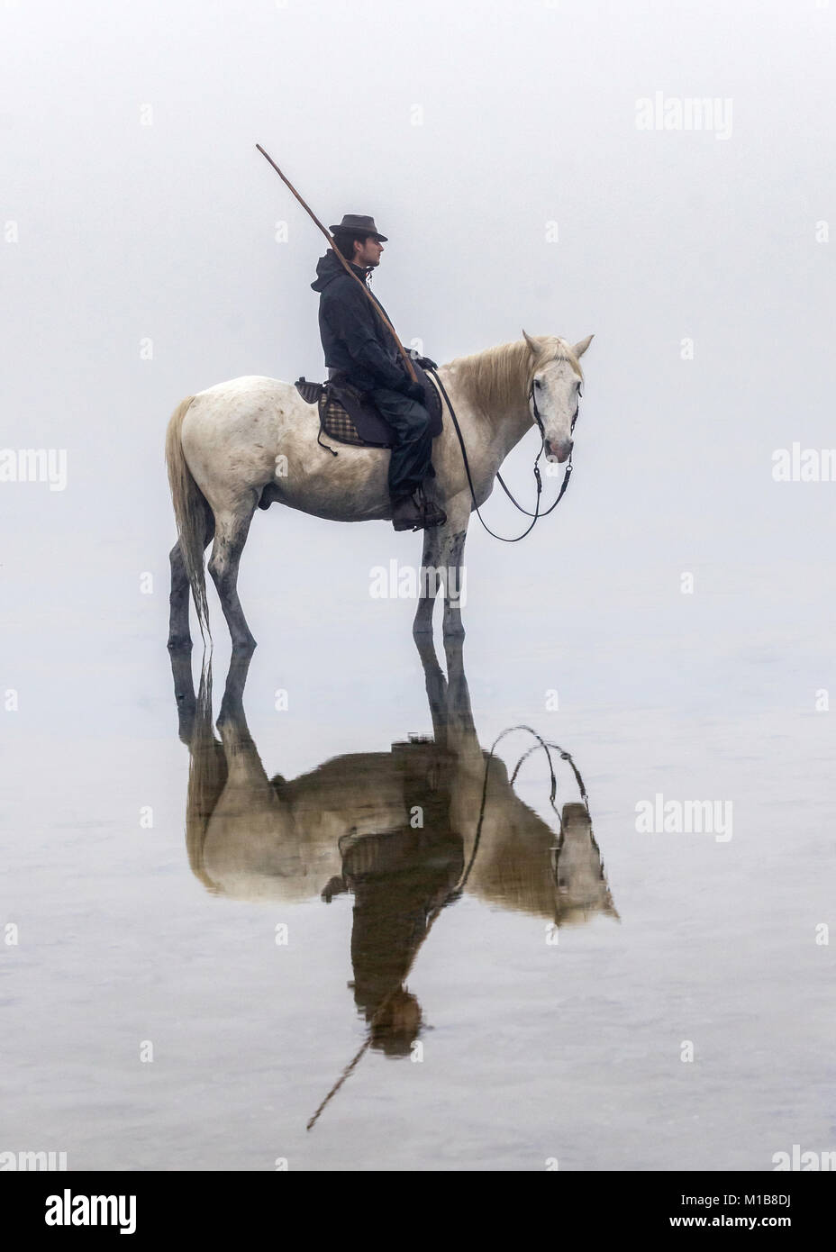 Camargue Pferd (Equus caballus), und der Wächter im Wasser in der Nähe von Saintes-Marie-de-la-Mer, Camargue, Frankreich, Europa Stockfoto