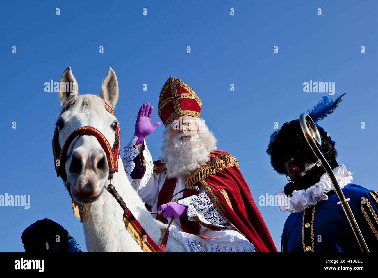 Den Niederlanden, Graveland, Festival des Sinterklaas oder Sint Nicolaas, jährlich am Vorabend der Nikolaus am 5. Dezember gefeiert. Stockfoto