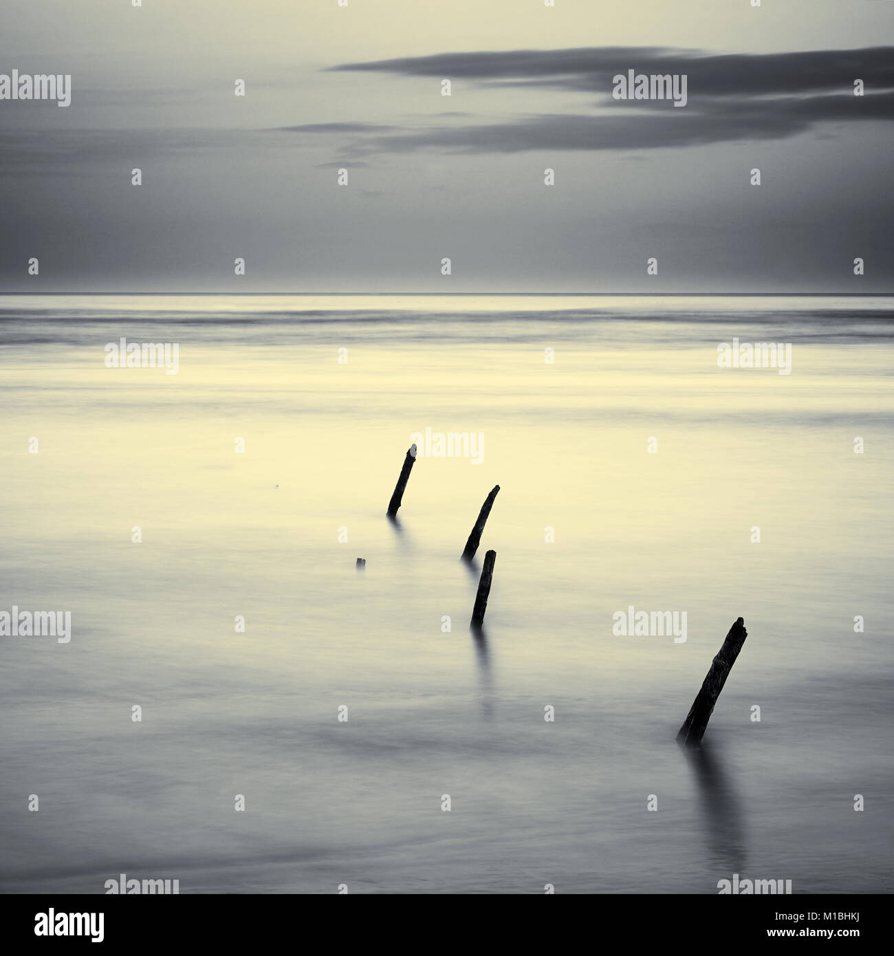 Lunan Bay, in der Nähe von Montrose, Angus, Schottland in der Abenddämmerung. Split Farben Schwarz und Weiß. National Nature Reserve Stockfoto