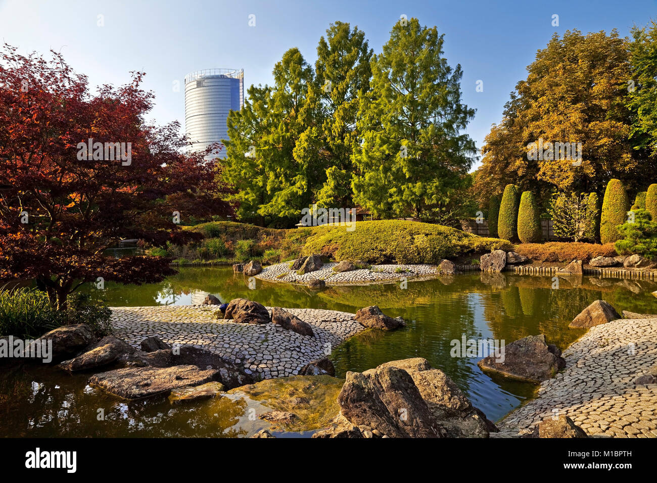 Japanischer Garten Mit Post Tower Rheinaue Bonn Nordrhein