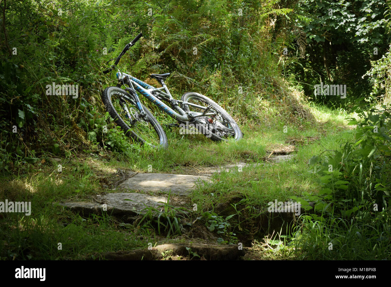 Specialized Enduro Mountainbike Stockfoto