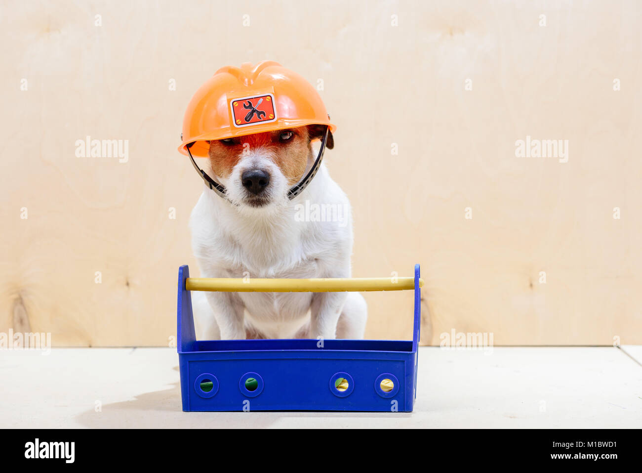 Lustige Builder mit Toolbox tragen Orange hardhat Stockfoto