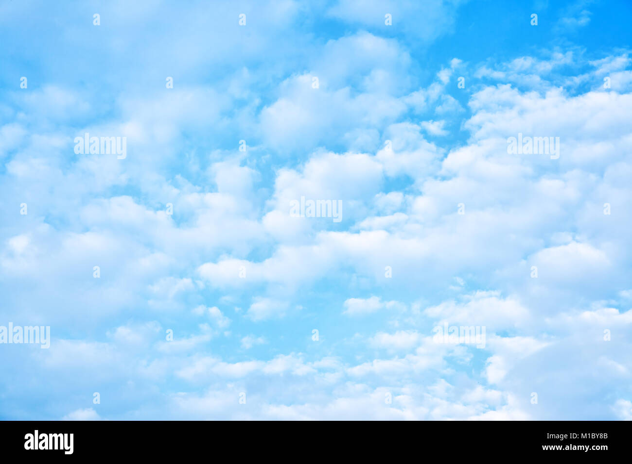 Frühling weichen, weißen Wolken im Himmel als Hintergrund verwendet werden Stockfoto