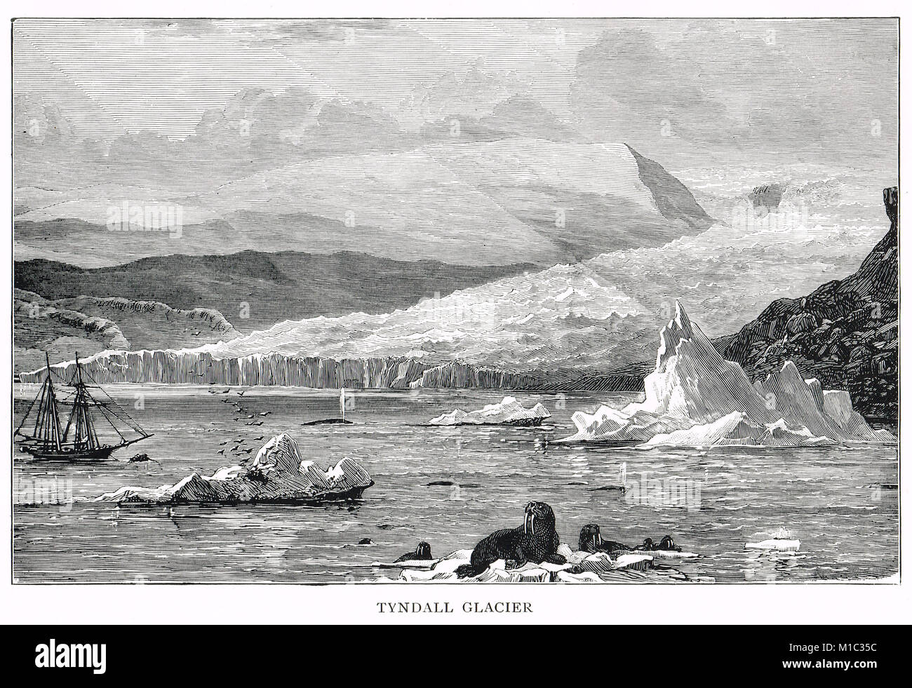 Tyndall Glacier, Whale Sound, 19. Jahrhundert Stockfoto