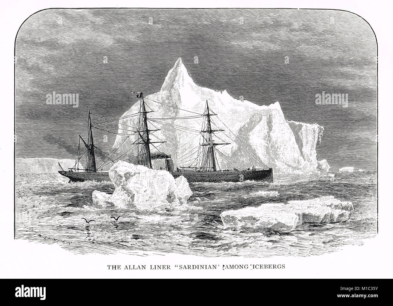Allan Liner SS Sardischen unter Eisberge, 19. Jahrhundert Stockfoto