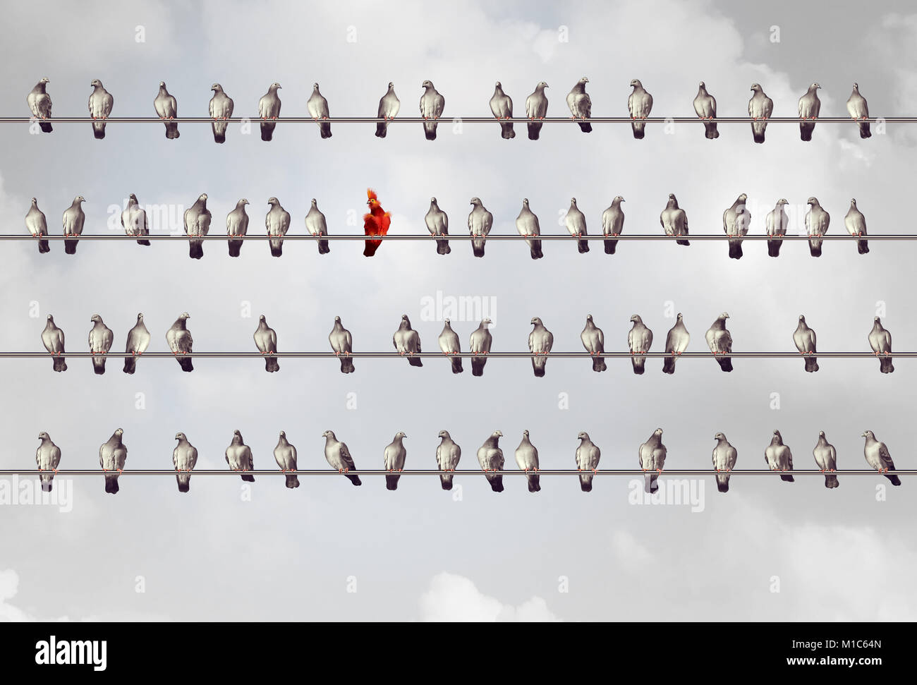 Einzelnen kreatives Denken und Individualität Konzept oder Rassismus Idee, als eine Gruppe von Vögel auf einem Kabel mit einem roten Charakter. Stockfoto