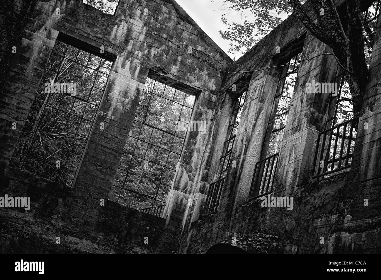 Windows auf Hartmetall Willson Ruinen Stockfoto