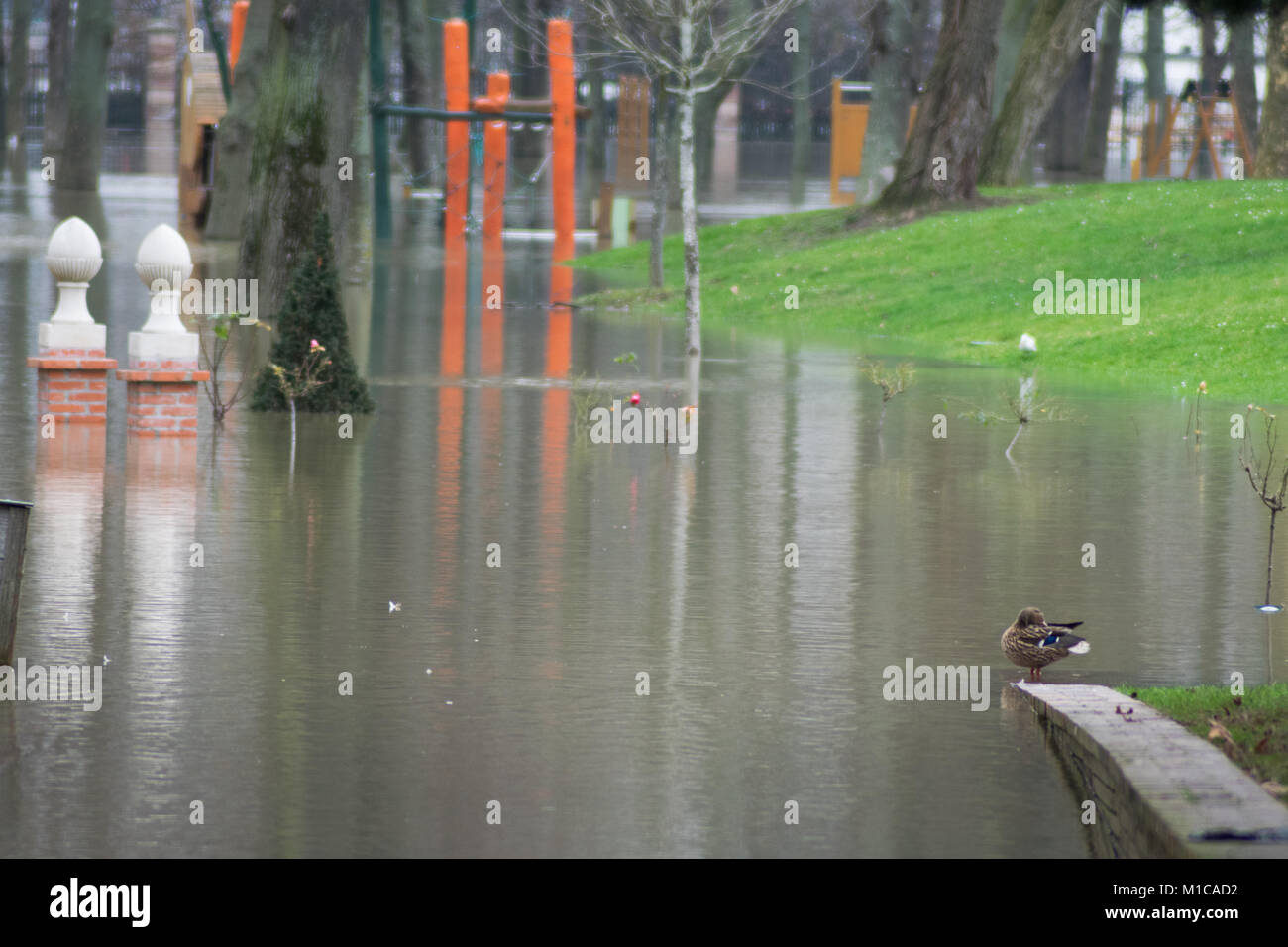 Paris, Frankreich. 28 Jan, 2018. Hochwasser steigt in Paris, Seine im Hochwasser am 28. Januar 2018 Credit: RichFearon/Alamy leben Nachrichten Stockfoto