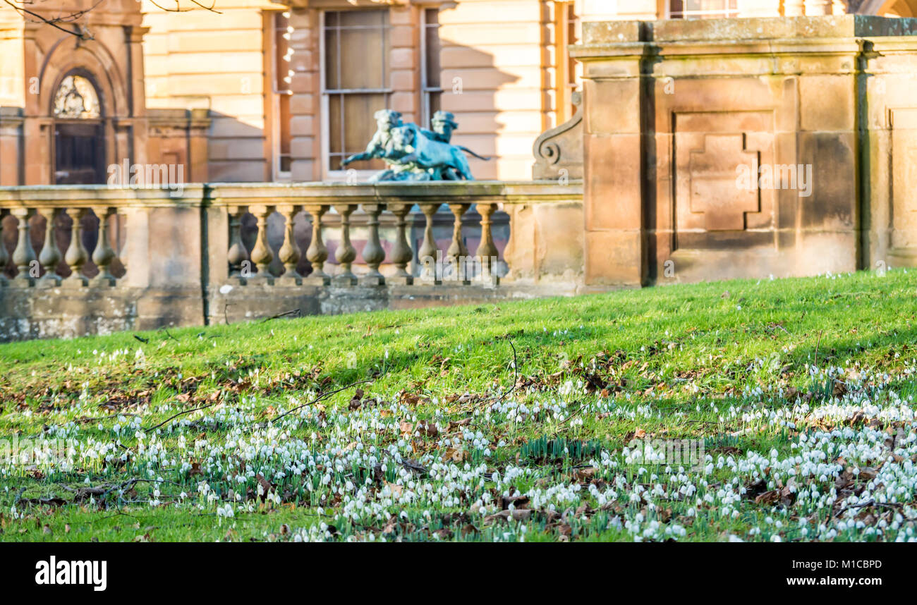 Gosford Estate, East Lothian, Schottland, Großbritannien, 29. Januar 2018. Ein schöner sonniger Frühlingstag in Ostschottland zeigte die Schneeglöckchen, Galanthus nivalis, vor dem Gosford House Stockfoto