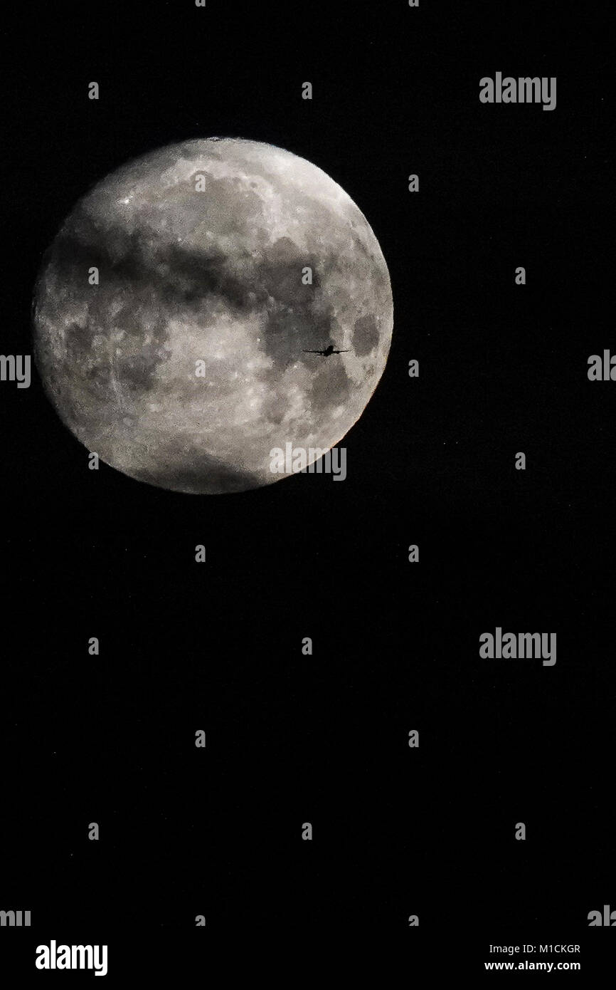 Sycamore Avenue, Godalming. 30. Januar 2018. Clearing Himmel über dem Hause Grafschaften über Nacht. Die supermoon aus Godalming, Surrey gesehen. Credit: James Jagger/Alamy leben Nachrichten Stockfoto