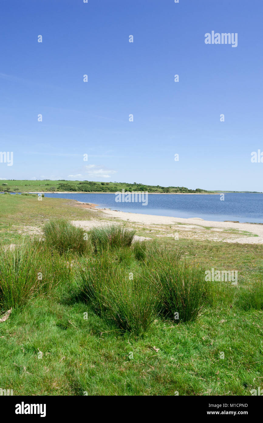 Colliford See (Stausee), Cornwall, England, Großbritannien im Juni Stockfoto