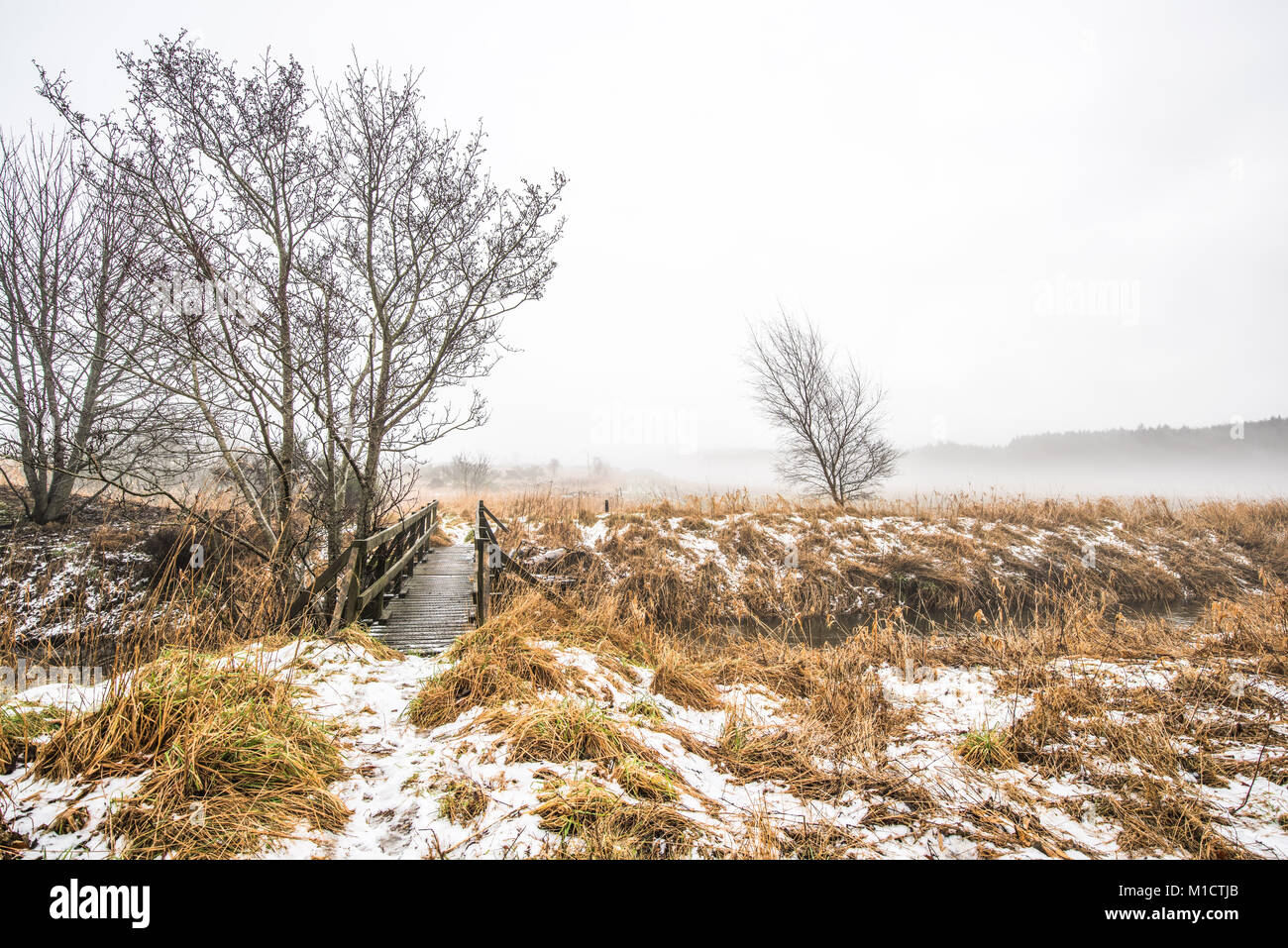 Ein kalter Wintermorgen auf der Haddo Immobilien, Aberdeenshire, Schottland Stockfoto