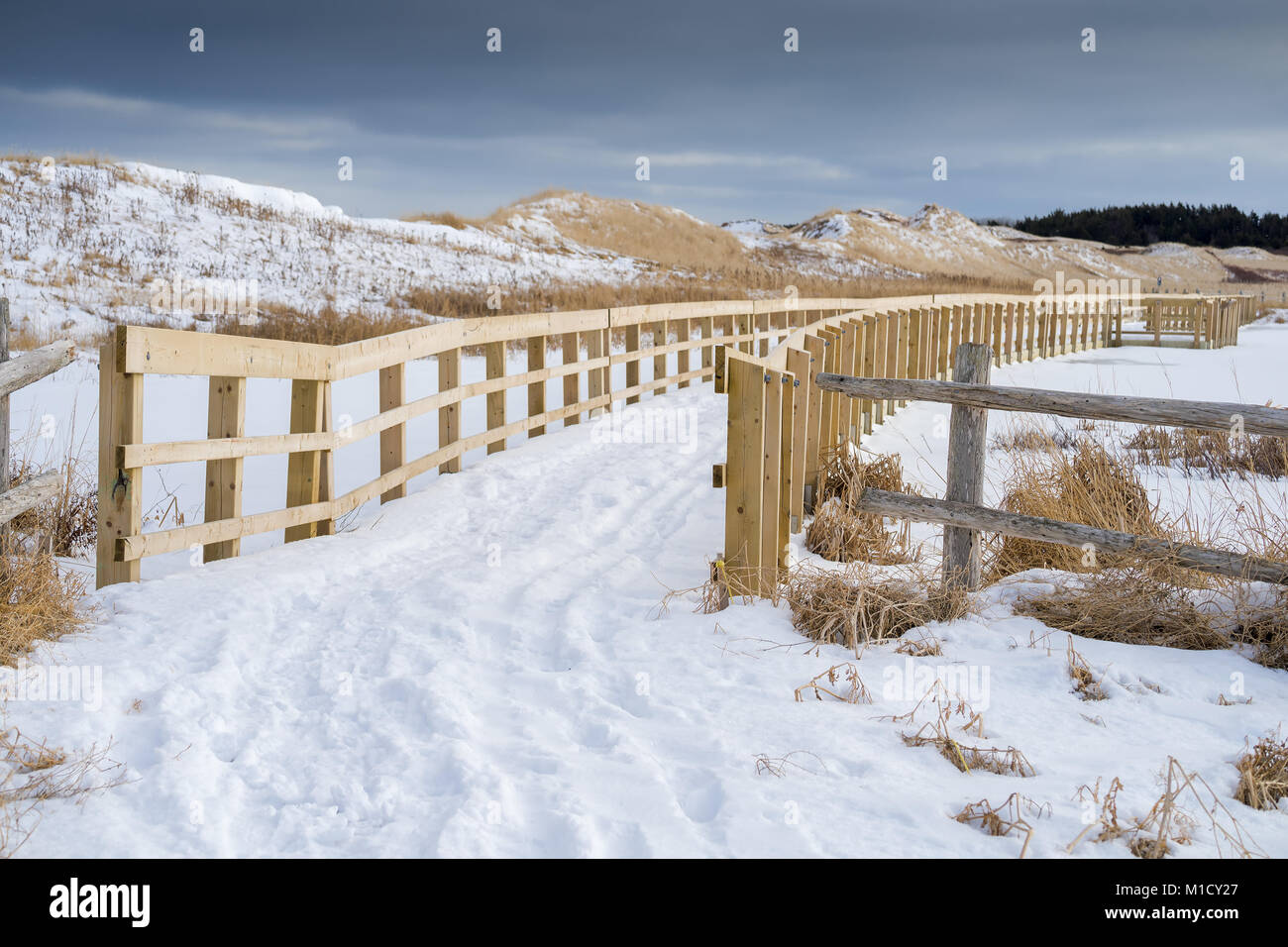 Boardwalk über den Sumpf in der dunelands des PEI National Park, Kanada. Stockfoto