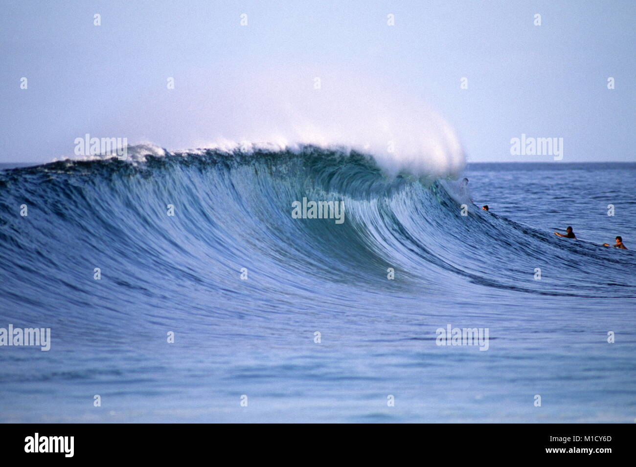 Seitenansicht der perfekte Schläuche wave Pipeline Hawaii USA Stockfoto